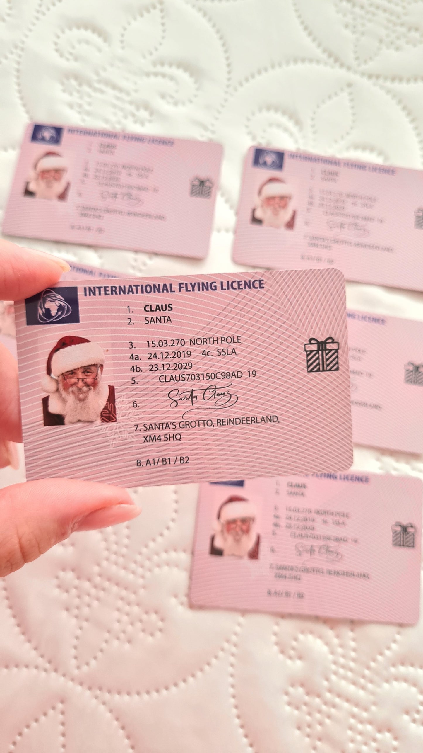 Santa's driving license