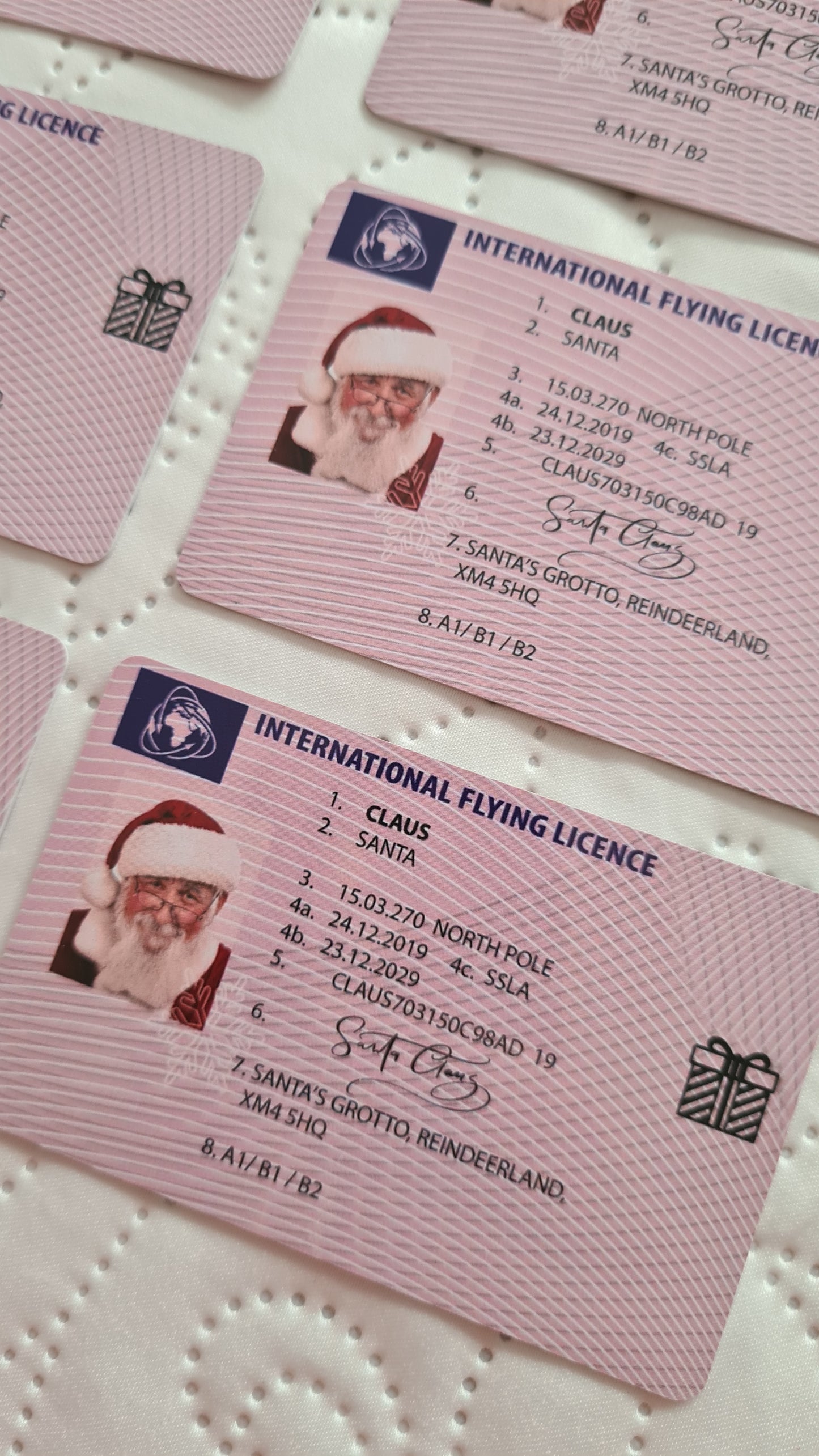 Santa's driving license