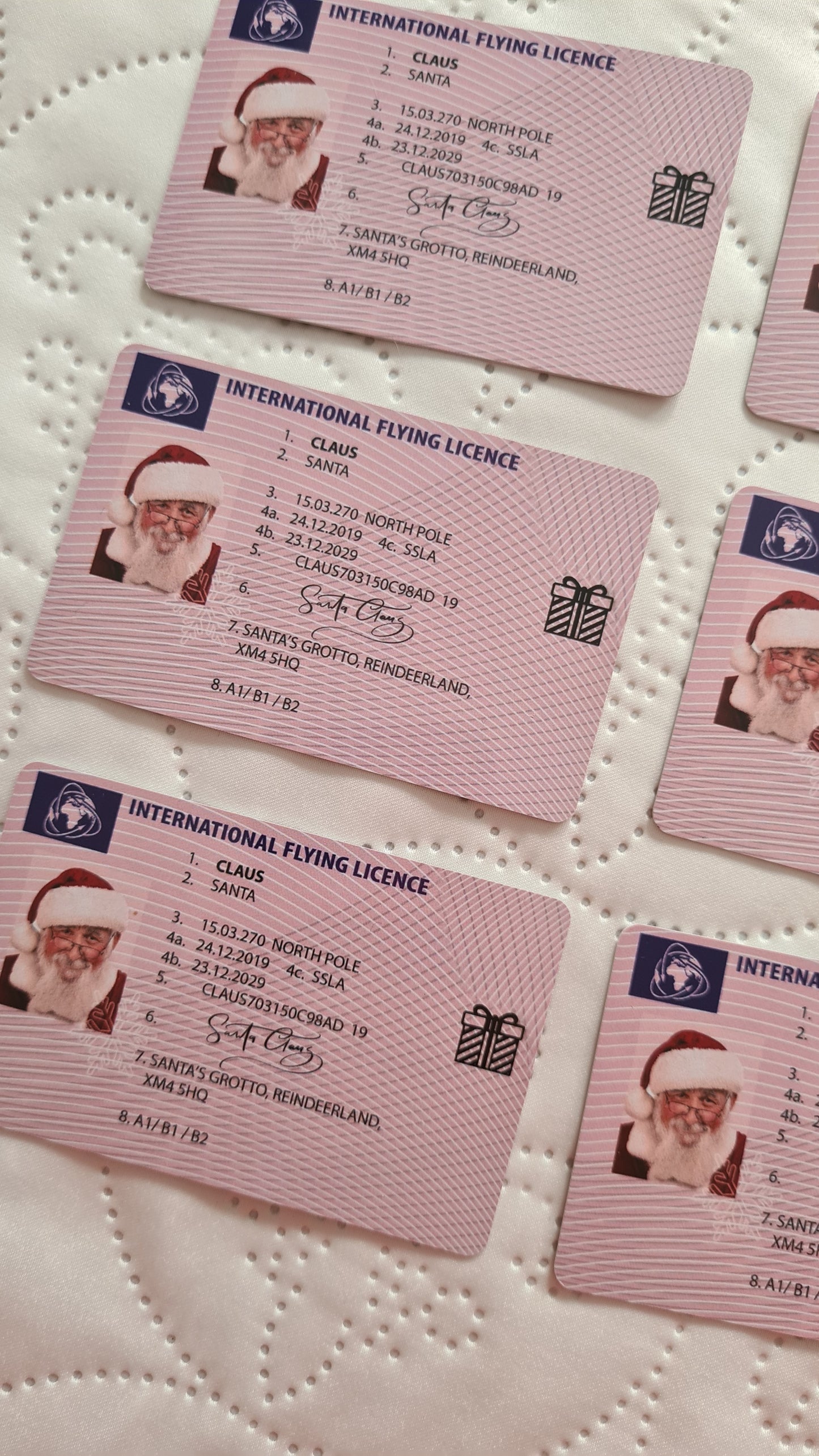 Santa's driving license